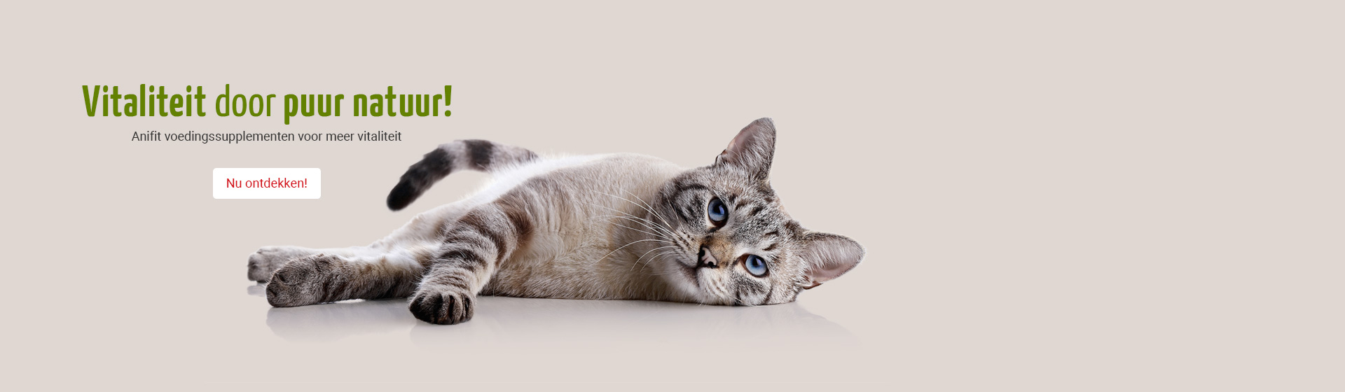 Anifit Nahrungsergänzungen für mehr Lebensenergie